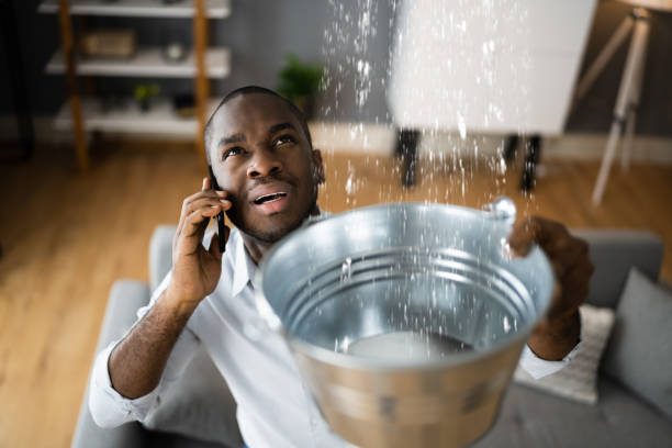 Best Flood damage cleanup  in Miramar Beach, FL