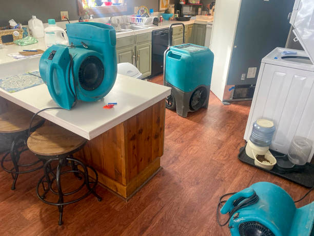 Best Carpet water damage restoration  in Miramar Beach, FL