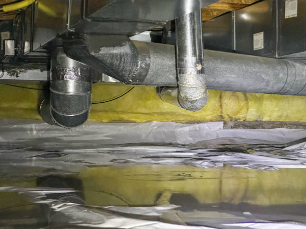 Best Professional water damage repair  in Miramar Beach, FL