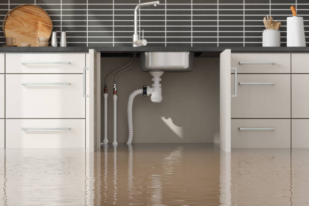 Best Flooded house restoration  in Miramar Beach, FL