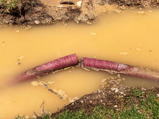 Best Sewage cleanup and water damage restoration  in Miramar Beach, FL
