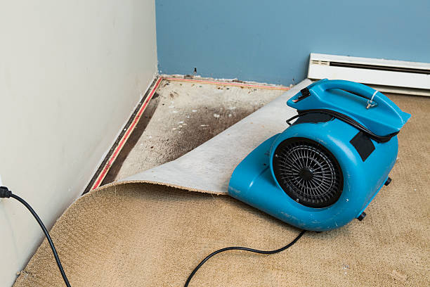 Best Emergency water damage restoration  in Miramar Beach, FL